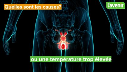 Santé/ la fertilité masculine