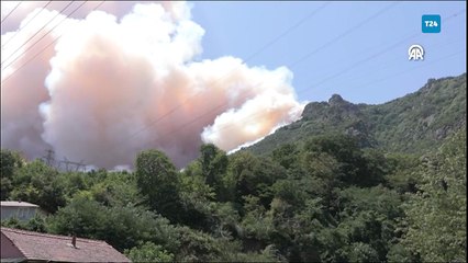 Sakarya Geyve'de bir orman yangını daha