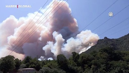 Sakarya'da yeni orman yangını başladı