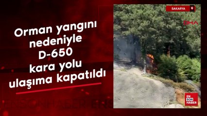 Sakarya'da çıkan orman yangını nedeniyle D-650 kara yolu ulaşıma kapatıldı