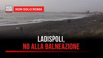 Ladispoli, livelli elevati di Escherichia coli scatta il divieto di balneazione