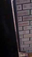 Kangaroo tales only in Australia