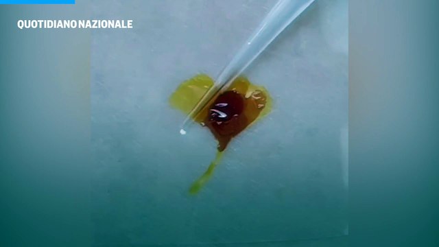 Il tatuaggio anti 'droga dello stupro'