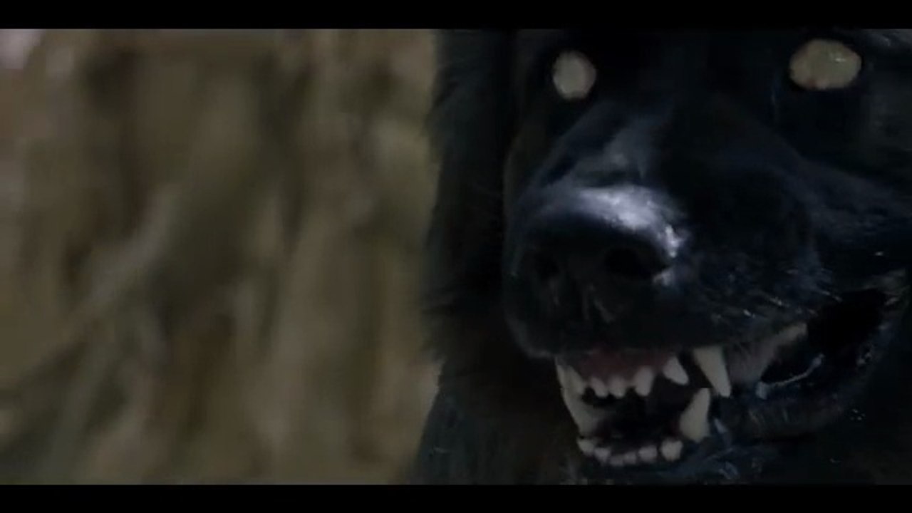 LES CHIENS - Bande-Annonce VF (Thriller, Horreur 2025)