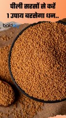 Peeli Sarson ke Totke: पीली सरसों के इस 1 उपाय से आर्थिक तंगी होगी दूर | Boldsky