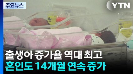 올해 5월까지 출생아 10만 명 넘어...증가율 역대 최고 / YTN