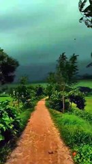 I chose the road less traveled, and now I don't know where I am.