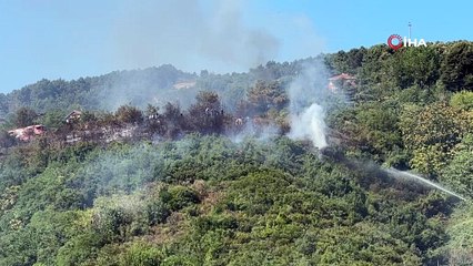 İstanbul Beykoz'da orman yangını