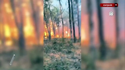 Eskişehir'deki yangında alevler arasında kalan ormancıların görüntüleri ortaya çıktı