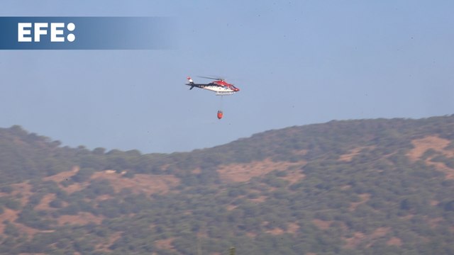 Dan por contenido el incendio forestal de Córdoba y regresan algunos vecinos a sus casas