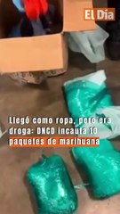 Llegó como ropa, pero era droga: DNCD incauta 10 paquetes de marihuana
