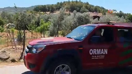 Demirci’de çıkan orman yangını söndürüldü