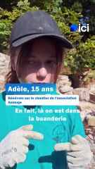 Ces jeunes redonnent vie au lavoir de Cuchaud à Clisson pendant l'été.