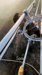 Daring Rescue: De-Icing Power Lines in Freezing Winter ❄️