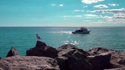 Pesca, verso una governance comune per l'Adriatico
