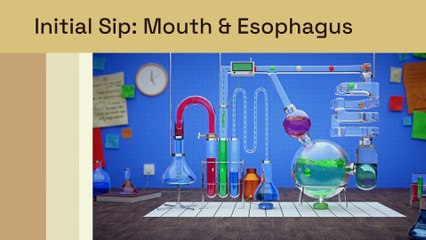 How Your Body Digests Liquid Calories From Juice