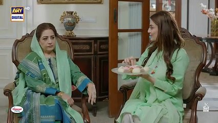 Sher Episode 19 - 23 July 2025 - ARY Digital Drama