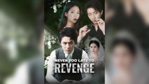 Never Too Late To Revenge - Full Movie