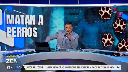 Exigen justicia para Canelo y Rocco, 2 perritos asesinados por una pareja en Texcoco