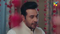 Raaja Rani Episode 24 Promo 24_July_2025__[_Hina_Afridi___Faysal_Qureshi_]_-_HUM_TV(360p)