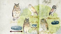 Cuaderno de campo, Lechuzas