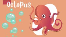 Discover the Strangest Ocean Animals Ever Seen | Weird Deep Sea Creatures & Marine Life for Kids |Education Videos | Preschool Learning |