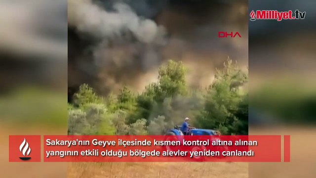 Orman yangınları ile mücadele sürüyor! Havadan ve karadan müdahale!