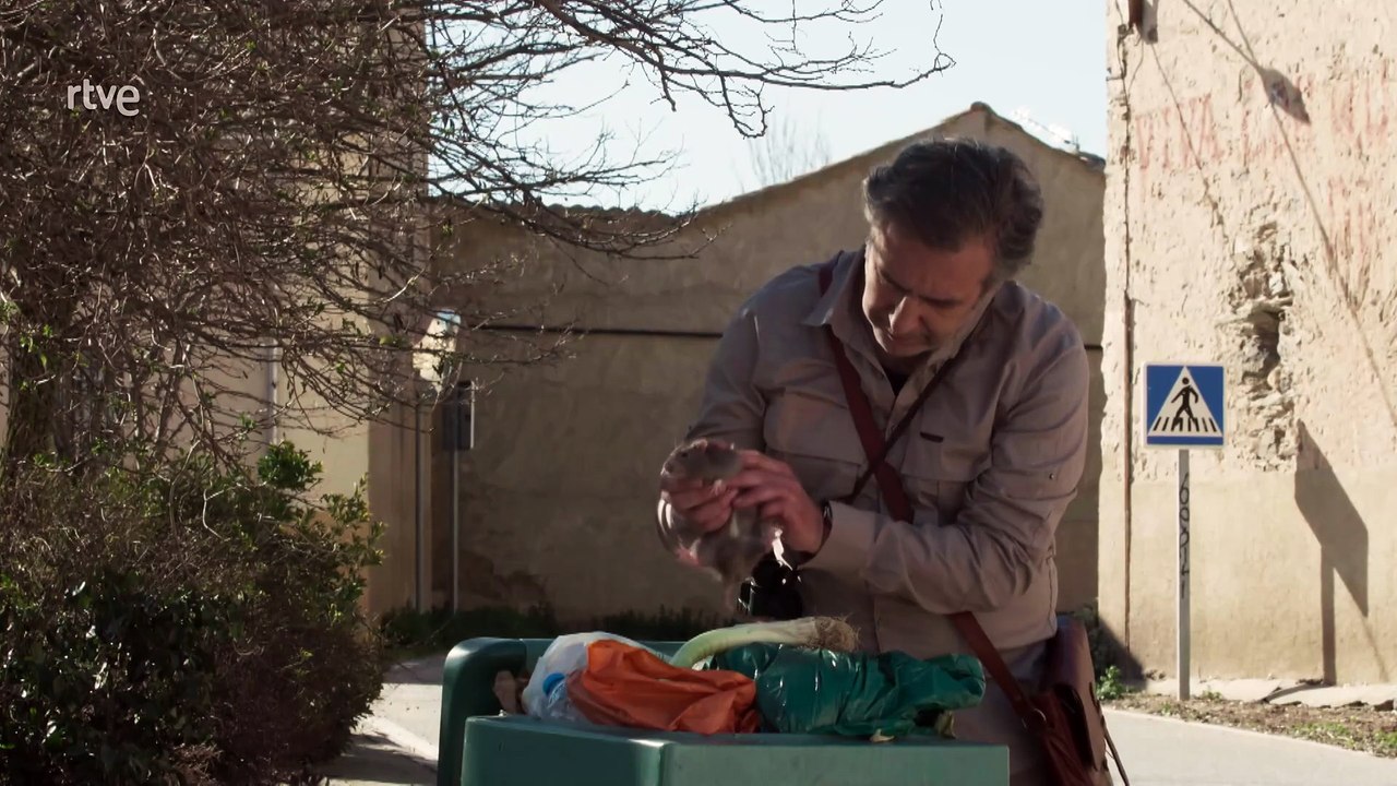 Cuaderno de campo, Ratas y ratones