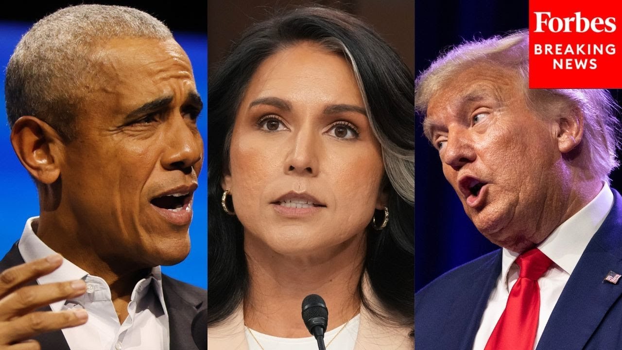 'A Malignant Clown Show': House Democrats Eviscerate Trump, Gabbard Over Claims About Barack Obama