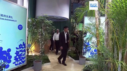 EU and Japan strengthen trade alliance amid global tensions