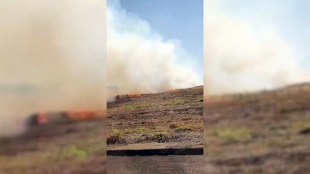 Incêndio em vegetação mobiliza bombeiros no Jardim Veredas, em Cascavel