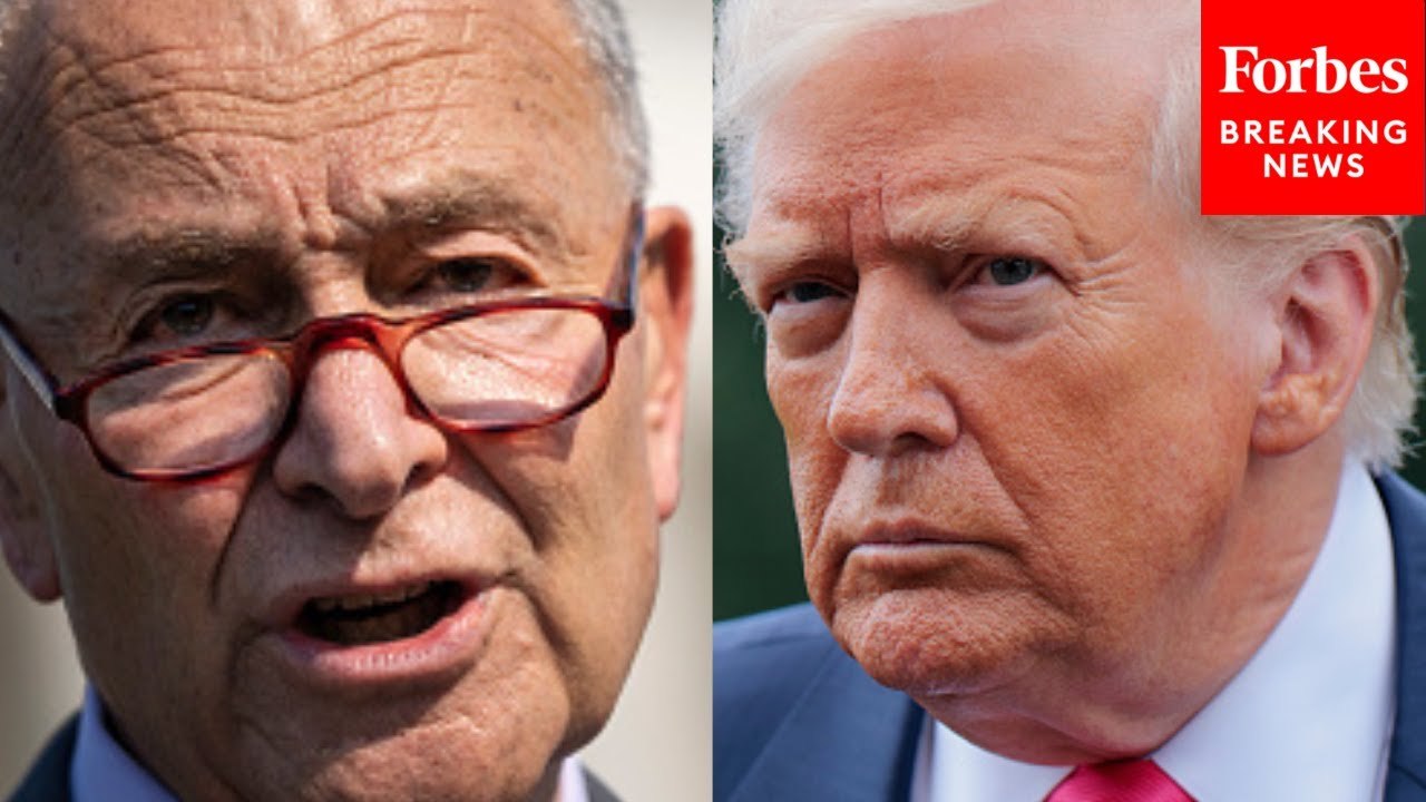 'The Trump Tariff Taxes Are Going Up': Chuck Schumer Tears Into Trump's Trade 'Deal' With Japan