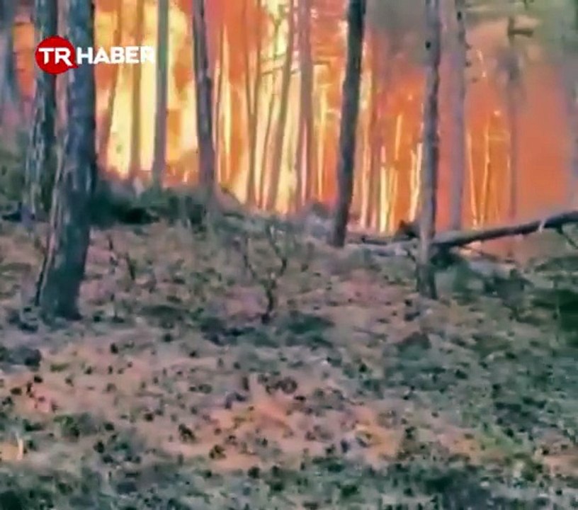 Son dakika!Eskişehir'deki orman yangınında kahreden haber! 10 orman işçisi ve 1 yangın söndürme gönüllüsü şehit oldu