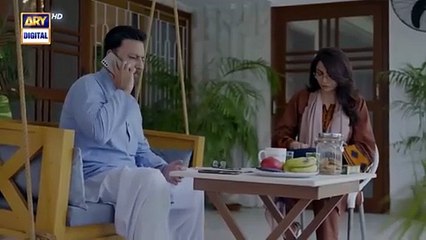 Pal Do Pal Episode 3 - 23 July 2025 - ARY Digital