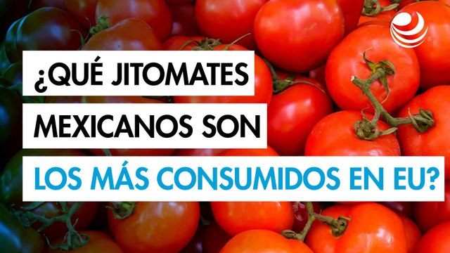 ¿Qué jitomates mexicanos se comen en Estados Unidos? Aquí los tres favoritos