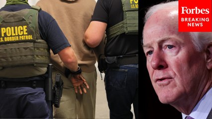 John Cornyn Praises Deportations: 'Illegal Aliens' Don't Have 'Same Range Of Due Process' As Citizens