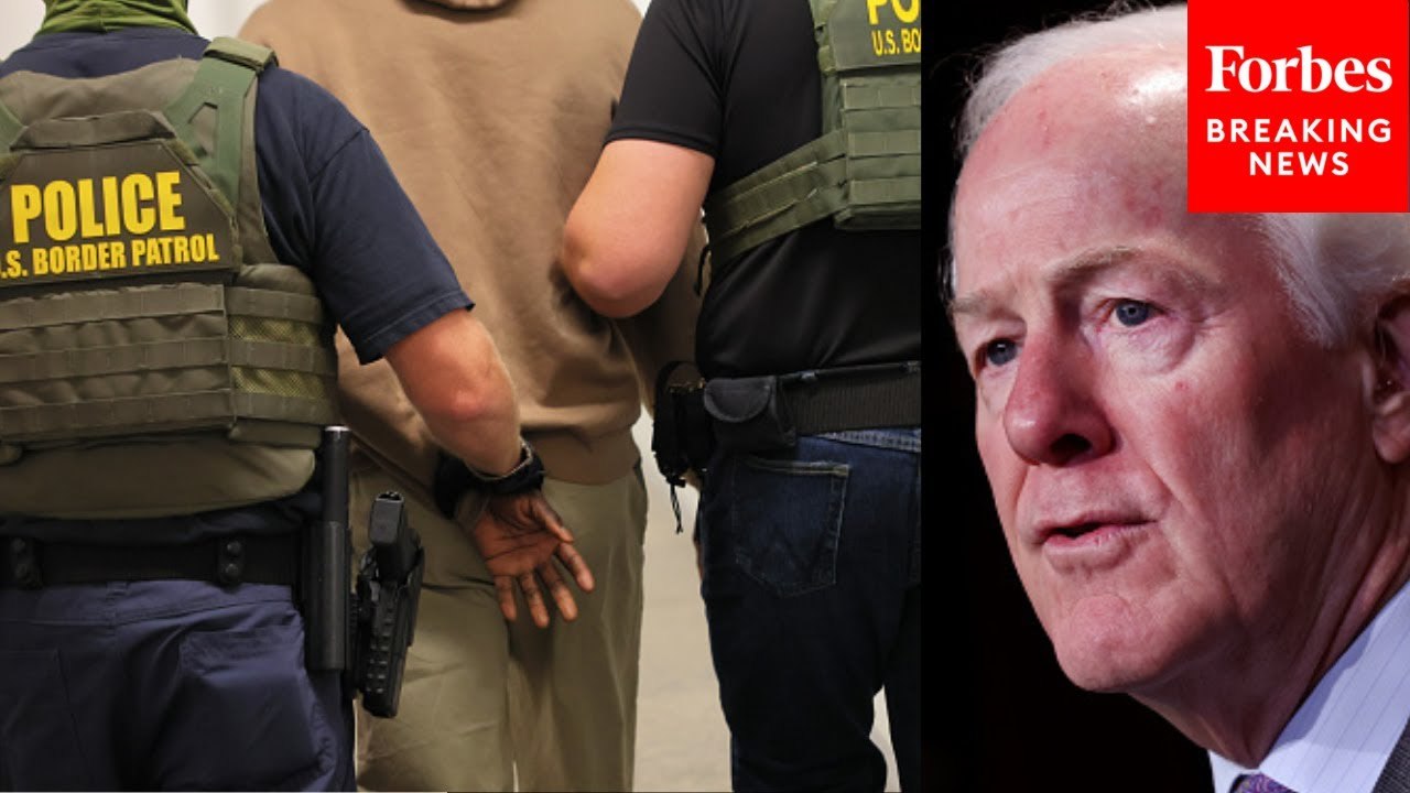 John Cornyn Praises Deportations: 'Illegal Aliens' Don't Have 'Same Range Of Due Process' As Citizens