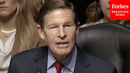Richard Blumenthal Asks If It's A Good Idea For Democrats To Hold Rally With Randi Weingarten