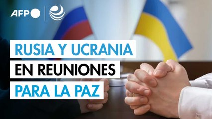 Ucranianos y rusos vuelven a Estambul para una negociación muy compleja
