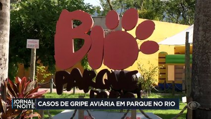 RJ: Bioparque confirma mortes de galinhas por gripe aviária