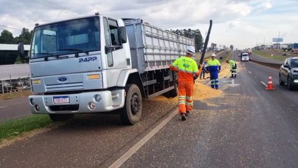 Caminhão derrama carga de milho na BR-277 após pneu estourar em Cascavel
