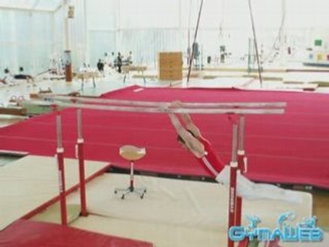 Wells aux barres parallèles