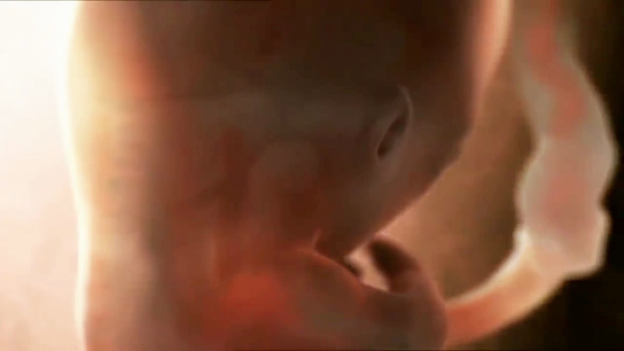 Birth of a Human Baby