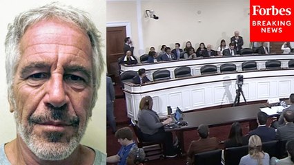 Oversight Hearing Grinds To A Complete Halt When Epstein Release Motion Intro'd