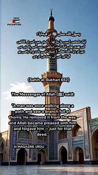 A beautiful Hadith reminding us that even a small act of goodness can earn Allah’s forgiveness. Never underestimate a good deed — it may lead you to Paradise. 🎥 Video generated using AI to spread the words of our Prophet ﷺ. 📚 Hadith Reference: Sahih