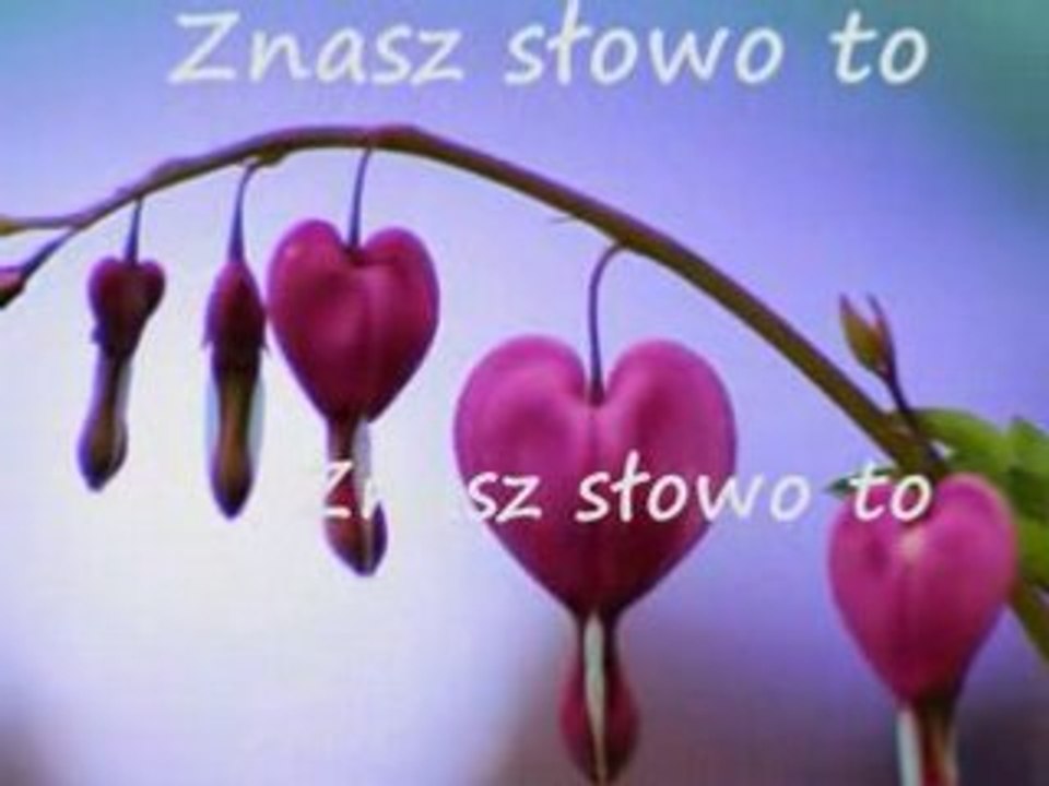 Serce-podziękowanie