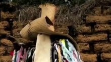 Los Tiliches: Fiesta, Risa y Protesta en Carnaval Oaxaqueño