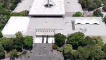El Paraguas Gigante: El Árbol que Sostiene la Historia de México
