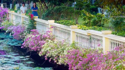 Loyal pin Lesbian Series 14