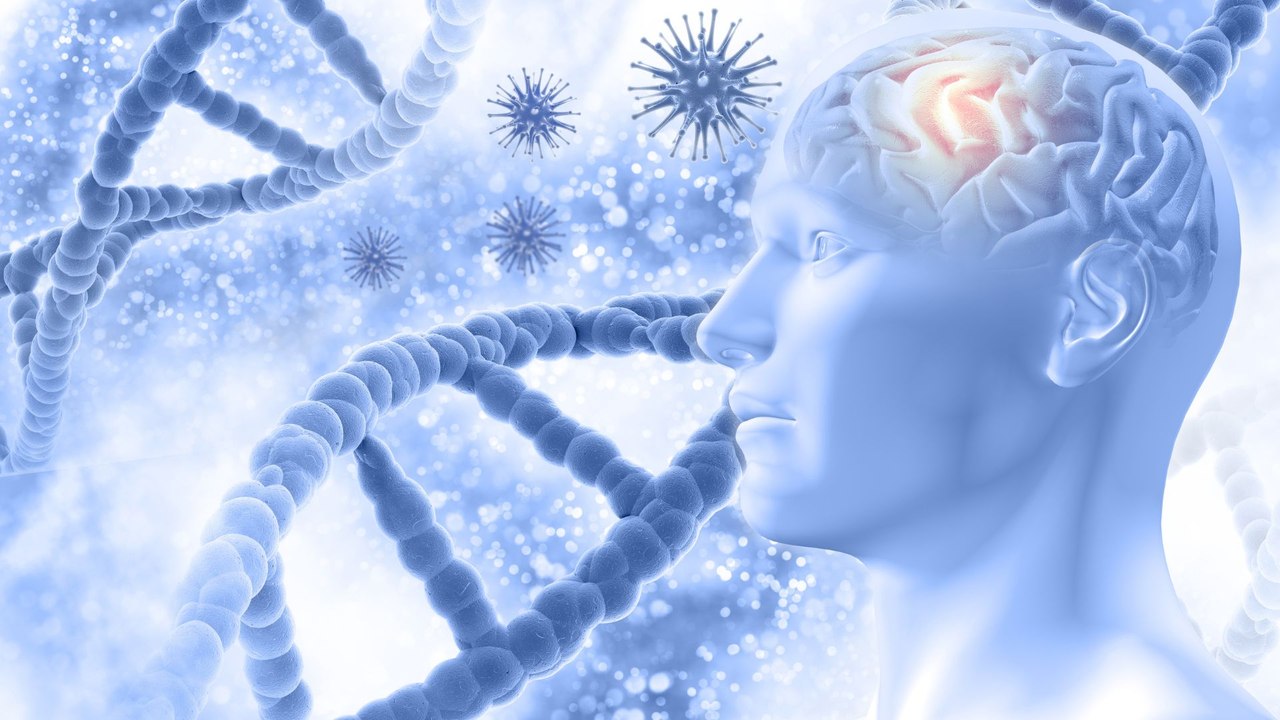 Científicos identifican un nuevo canal sensorial entre bacterias y neuronas
